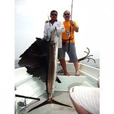 Ripple Fisher Aquila 76HH Rod