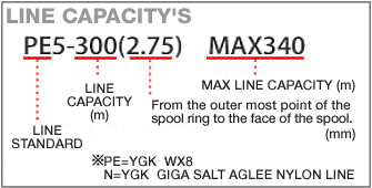 som-line-capacity-chart.gif som-line-capacity-chart.gif