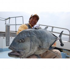 Ripple Fisher FINAL SPIRIT GT78XH Rod